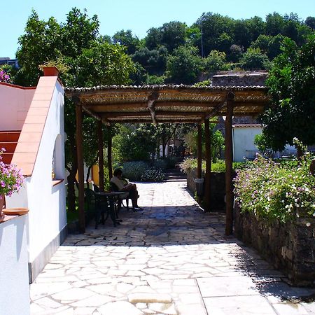 Hotel La Marticana Ischia Exterior foto