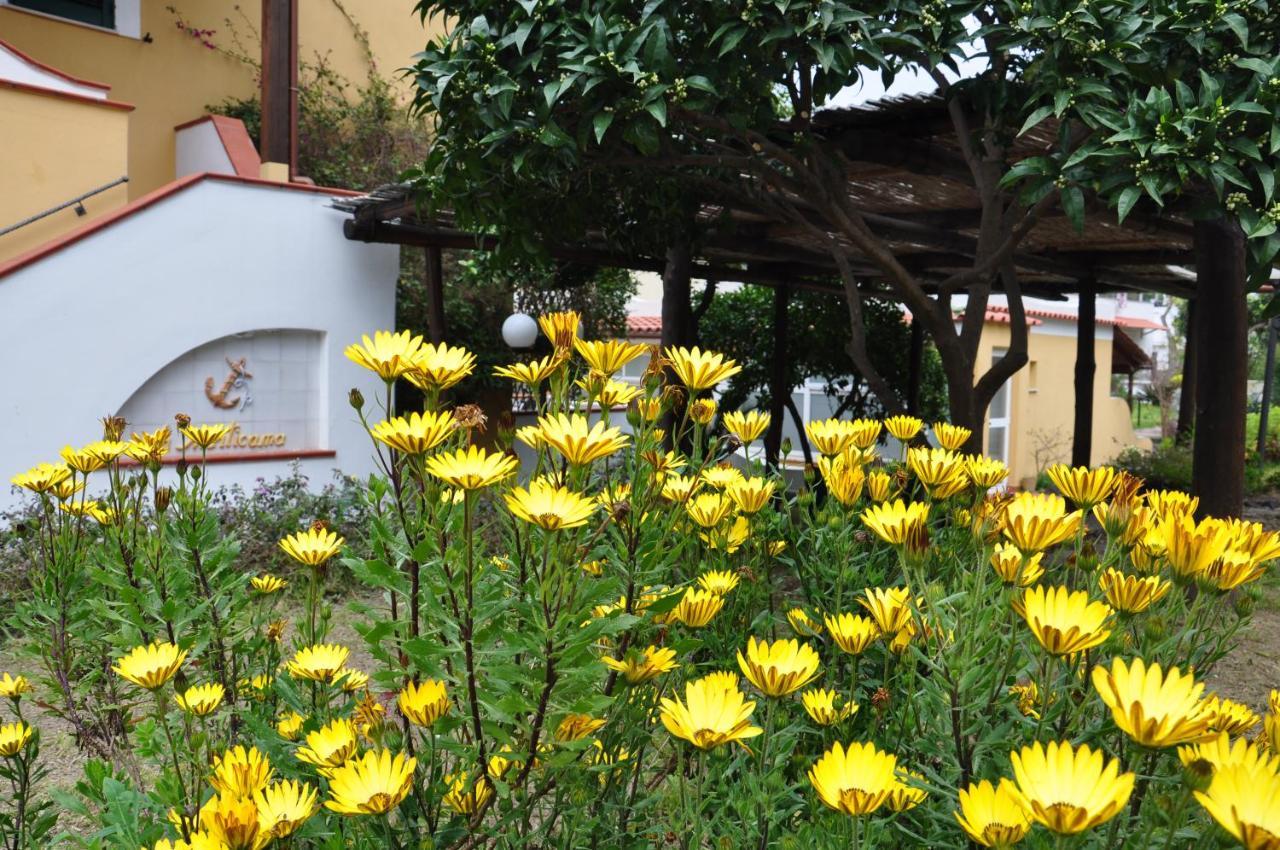 Hotel La Marticana Ischia Exterior foto