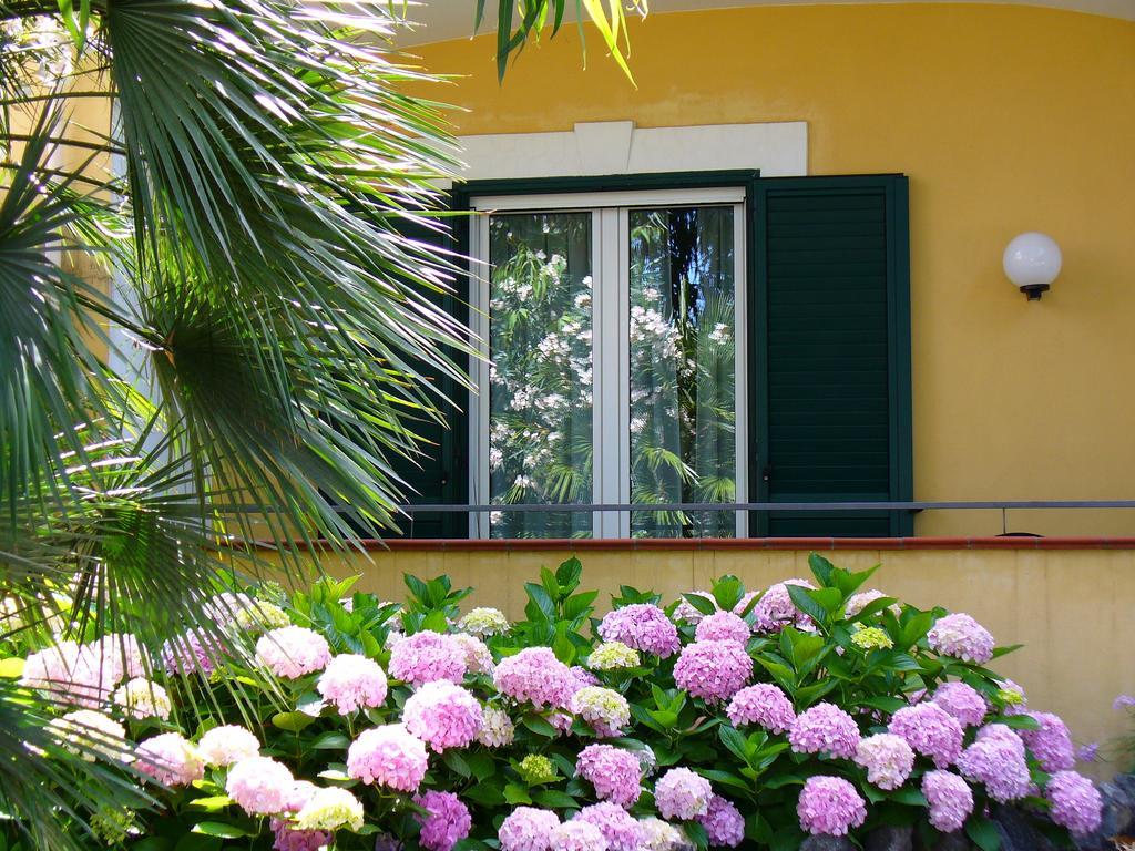 Hotel La Marticana Ischia Exterior foto