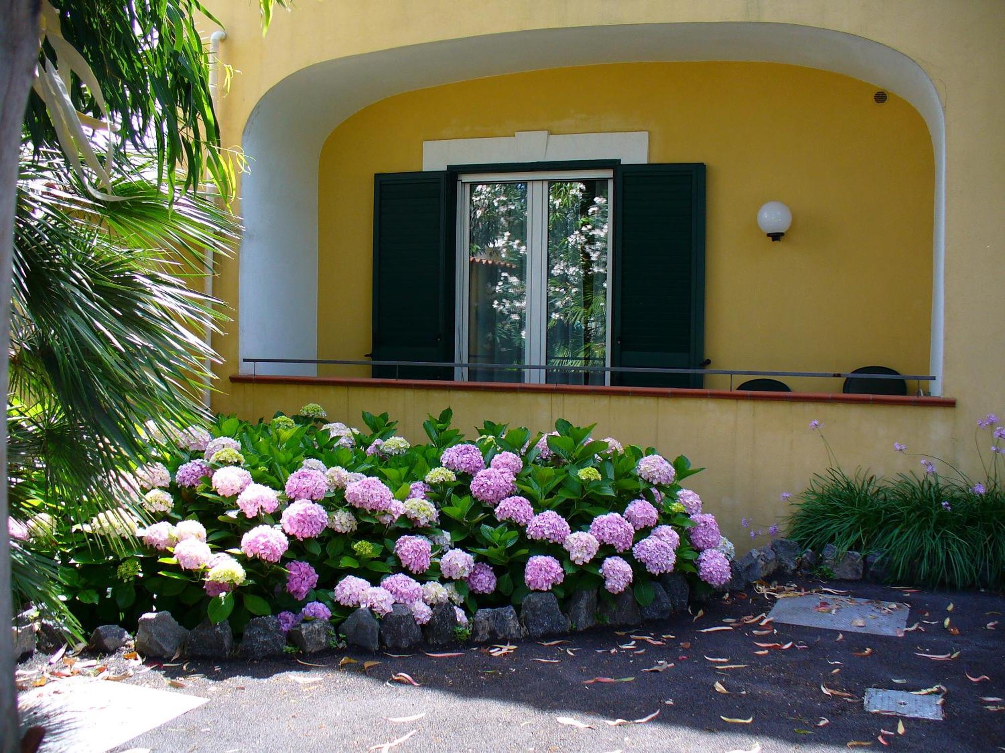 Hotel La Marticana Ischia Exterior foto