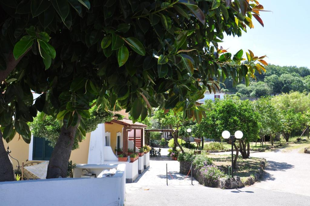 Hotel La Marticana Ischia Exterior foto