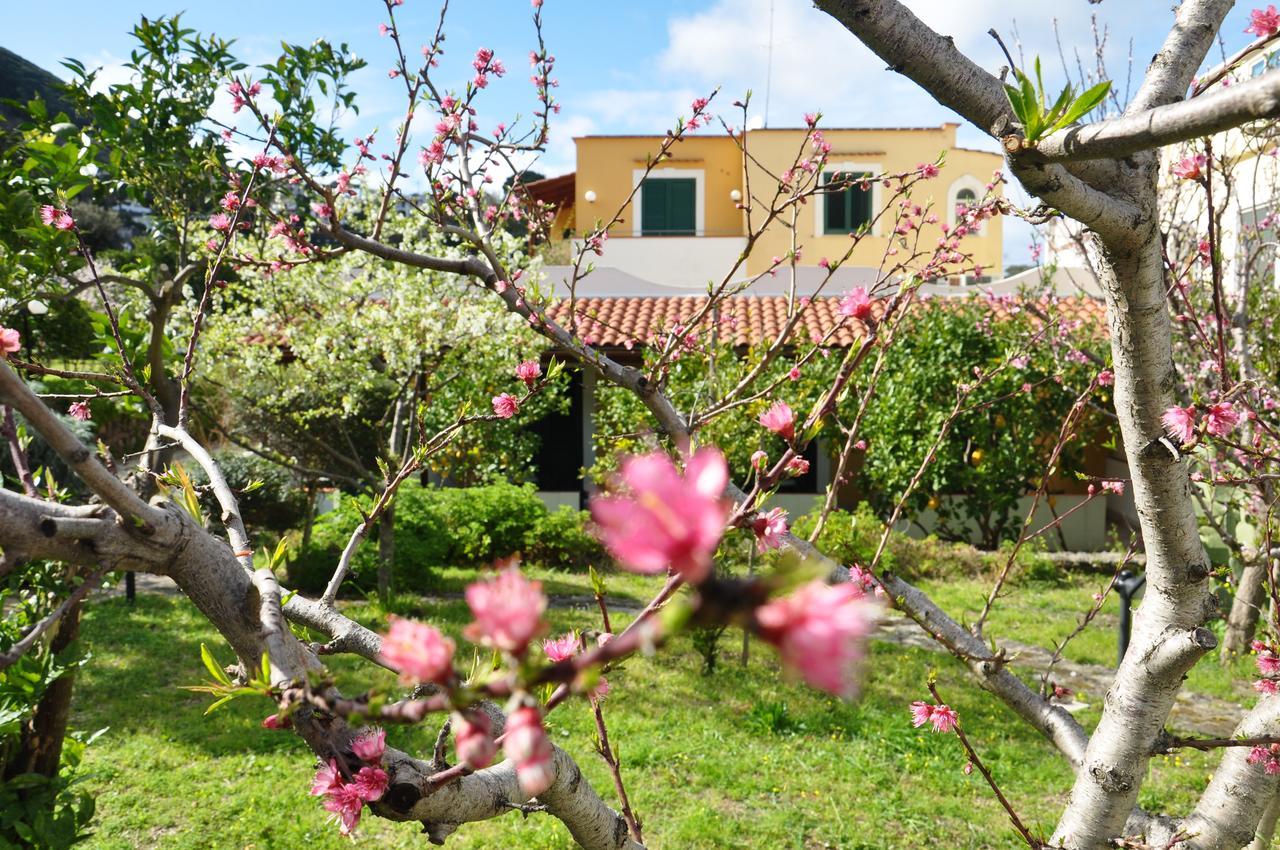 Hotel La Marticana Ischia Exterior foto